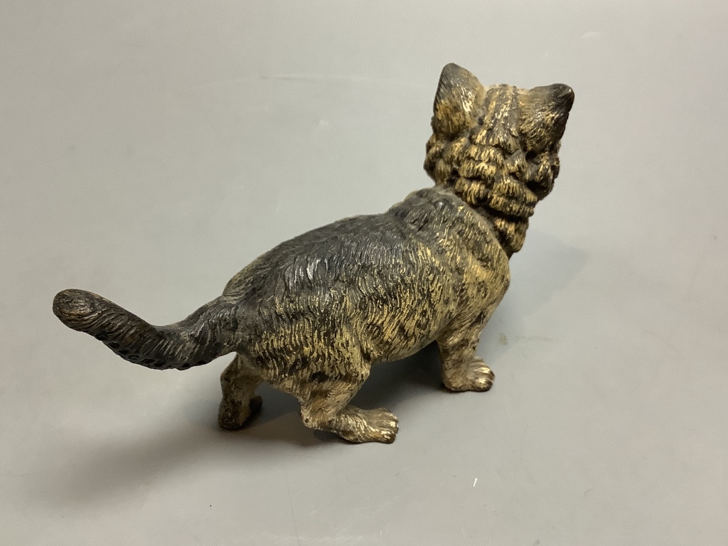 An Austrian cold painted bronze model of a cat, length 12cm